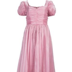 Jessakae Pink Dress 4X NWT